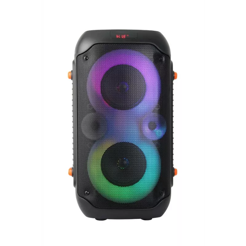 Esperanza EP156 BT FM LED RGB KARAOKE Lautsprecher Schwarz 20W