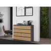 Topeshop M8 120 ANT/ART KPL Kommode