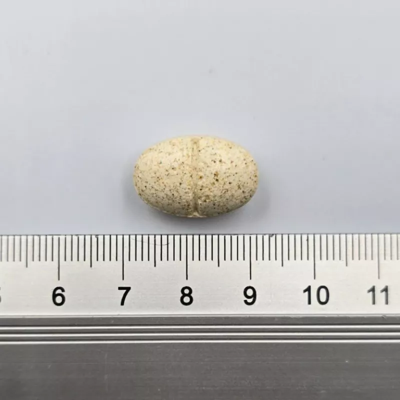 GAME DOG AniFlexi Marine V2 - Nahrungsergänzung für Hunde - 80 Tabletten