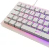 Mechanische TKL-Gaming-Tastatur XTRFY K5 RGB – tenkeyless, transparent/weiß