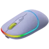 CANYON Maus MW-22 2in1 BT/ Wireless Lavendel