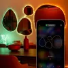Twinkly Dots 60 RGB USB Smart Lights, 3 m, Schwarz