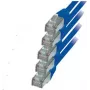 Netzwerkkabel S/CONN RJ45-RJ45 m-m 0,5 m ShiverPeaks 75711-H0.5B-SET5
