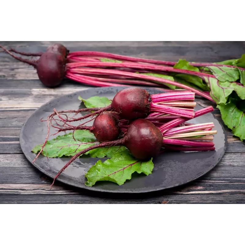 Dunkelrote Rote Bete Toraf Gemüsesamen, 20g Packung