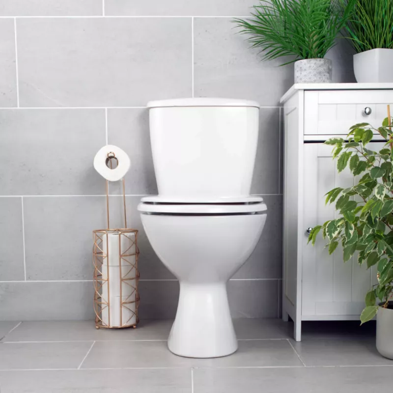 Toilettensitz Beldray LA030252UFFEU7 — antibakteriell, pflegeleichtes Design