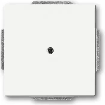 BUSCH JAEGER 1749-884 - Weiß - Metall - Kunststoff - Busch-Jaeger - Matt - 63 mm - 63 mm