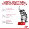 Trockenfutter für Katzen Royal Canin Kitten Sterilised 3,5 kg — Geflügel, 34 % Protein, 12 % Fett