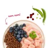 BOSCH Sanabelle Adult Chicken & Blueberries - Trockenfutter für Katzen - 2 kg