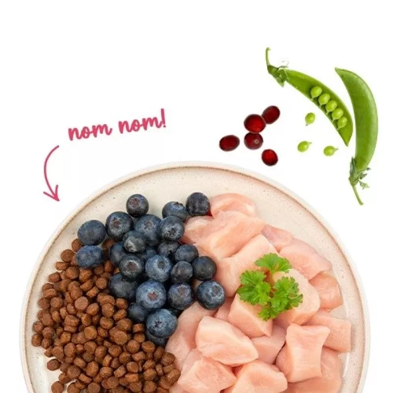 BOSCH Sanabelle Adult Chicken & Blueberries - Trockenfutter für Katzen - 2 kg