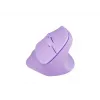 NATEC Crake 2 Maus Universal Rechtshänder RF Wireless + Bluetooth Optisch 2400 DPI