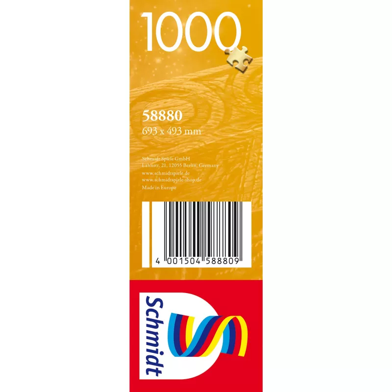 Der Astronom, Puzzle 1000 Teile