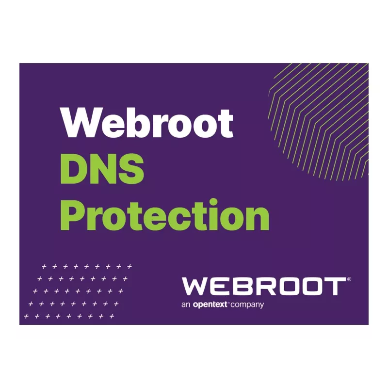 Webroot | DNS Protection mit GSM-Konsole | 2 Jahr(e) | Lizenzmenge 1-9 Benutzer