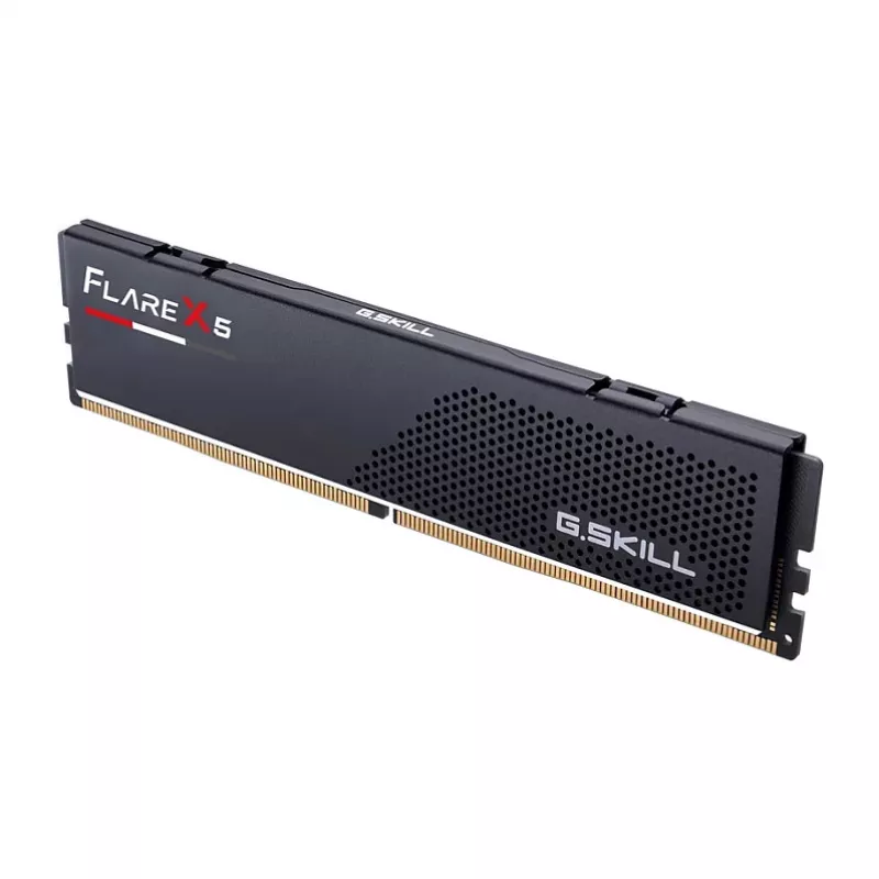 G.Skill Flare X5 F5-5200J4040A32GX1-FX5, 32 GB, 1 x 32 GB, DDR5, 5200 MHz, 288-Pin-DIMM