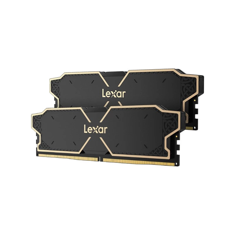 Lexar LD5U08G60C38LG-RGD Speichermodul