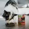 ANIMAL ISLAND Mono-Protein Truthahn für Hunde 300g