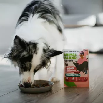 ANIMAL ISLAND Mono-Protein Truthahn für Hunde 300g