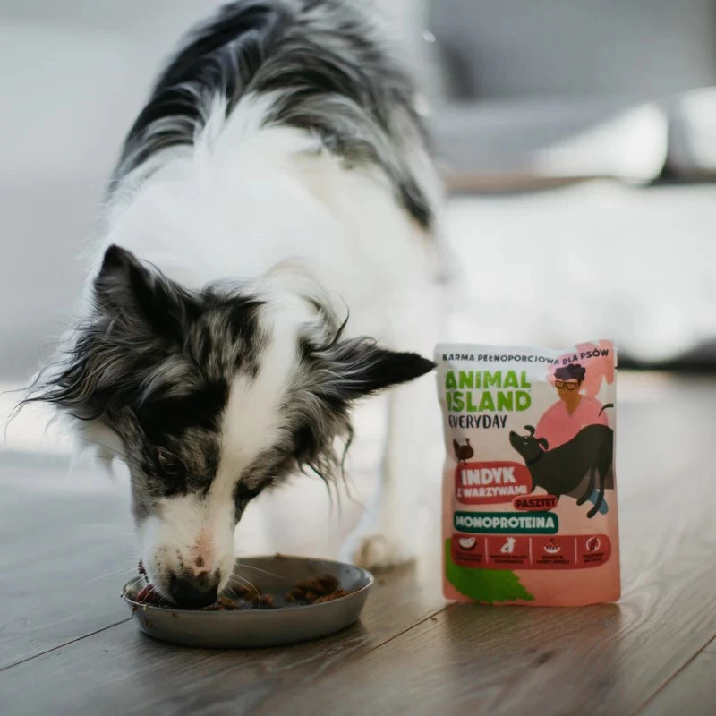 ANIMAL ISLAND Mono-Protein Truthahn für Hunde 300g