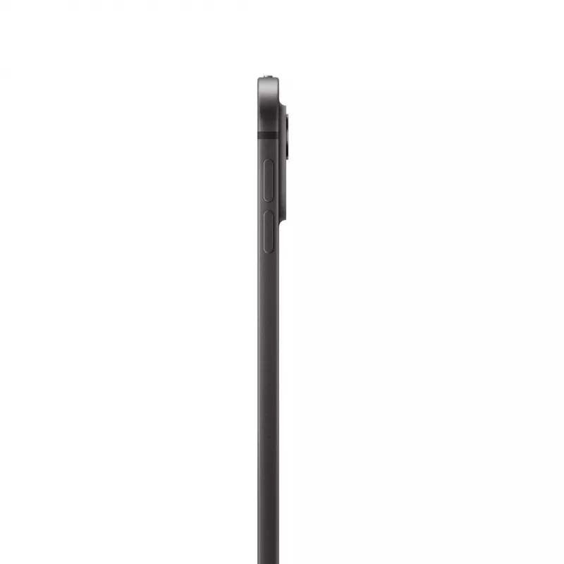 Apple iPad 13 Zoll Pro WiFi 2TB mit Standardglas - Space Black