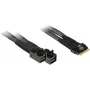 Inter-Tech SFF-8654 8i 2x SFF-8643 Schwarz