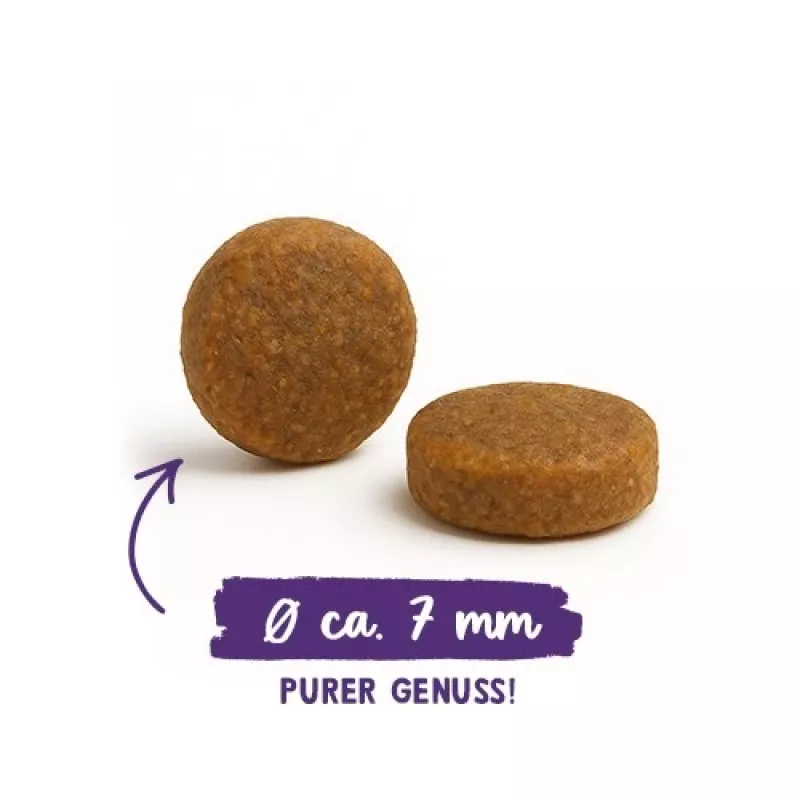 BOSCH Sanabelle Adult Ostrich & Blueberries - Trockenfutter für Katzen - 2kg