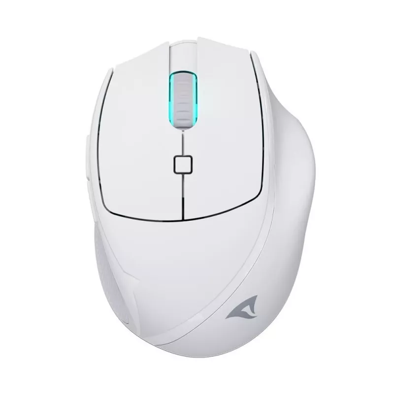 Sharkoon OfficePal M25W kabellose Office-Maus, rechtshändig, 4000 DPI