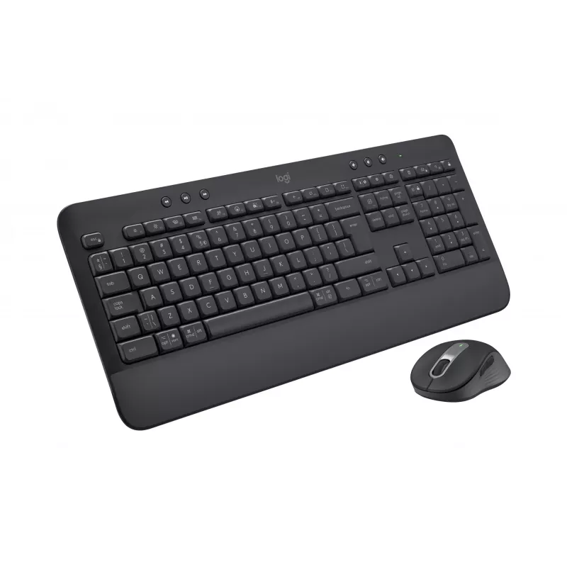 Logitech Signature MK650 for Business - Tastatur-Maus-Set - Kabellos - 2,4 GHz, Bluetooth LE - QWERTY - Spanisch - Graphit