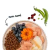 BOSCH Sanabelle Adult Forelle & Blaubeeren - Trockenfutter für Katzen - 2 kg