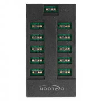 Delock - RGB LED Licht-Hub - 10 Anschlüsse - Schwarz (64128)