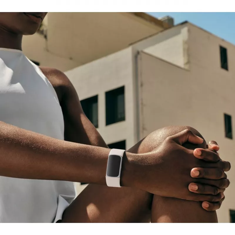 Fitbit GA05185-EU Produkt Silber