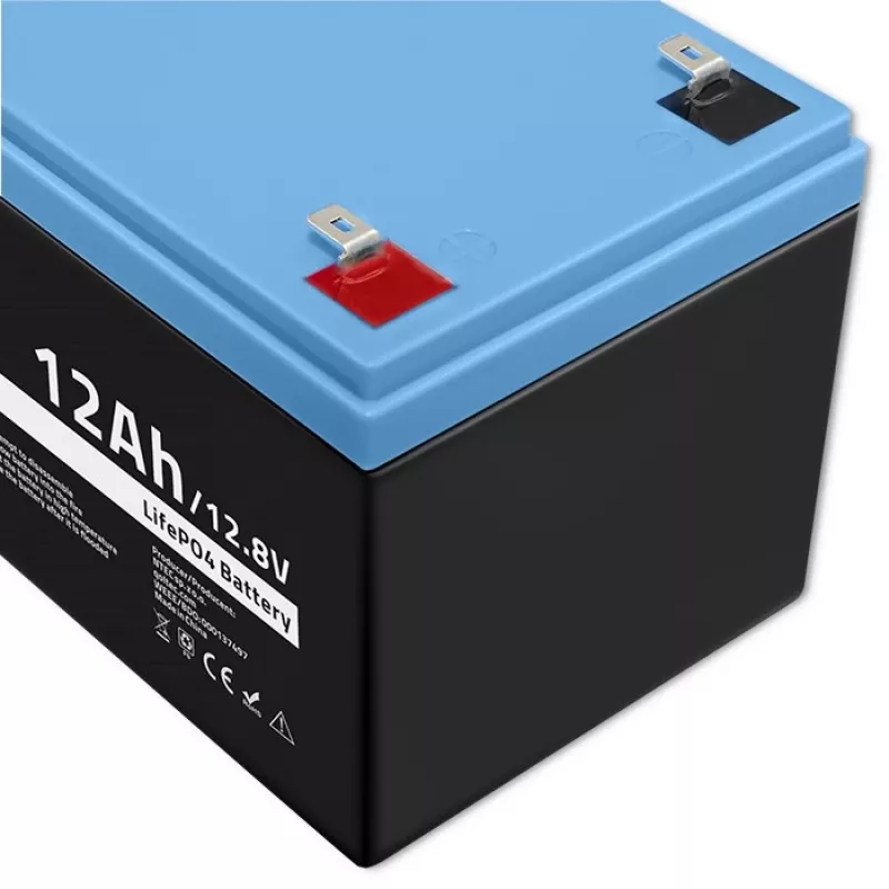 Qoltec LiFePO4 Lithium-Eisenphosphat-Akku 12,8 V 12 Ah 153,6 Wh mit BMS