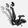 Expert 5.3 Schwarz Mesh Drehstuhl