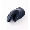 Gembird MUSW-ERGO-03 Maus Home Rechtshänder RF Kabellos Optisch 1600 DPI