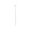 Apple Lightning-auf-USB-Kabel 1m MUQW3ZM/A