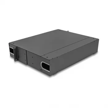 Patchfeld DeLOCK 66752 19 Zoll 24 Ports