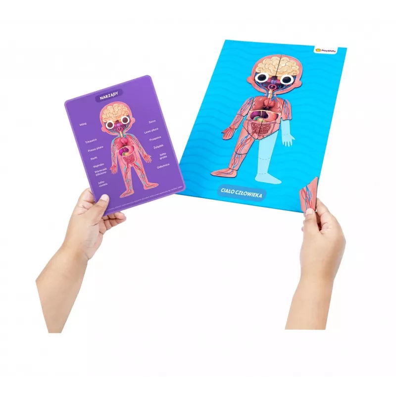 Lernspielset Dante My Super Human Body — interaktives Anatomie-Lernset