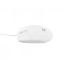 NATEC NMY-1988 Maus USB Typ A Optisch