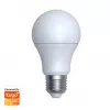 Smarte Glühlampe Denver SHL-350