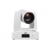 AVer PTZ211 2 MP Weiß 1920 x 1080 pixels 60 fps Exmor CMOS 25.4 / 2.8 mm (1 / 2.8)