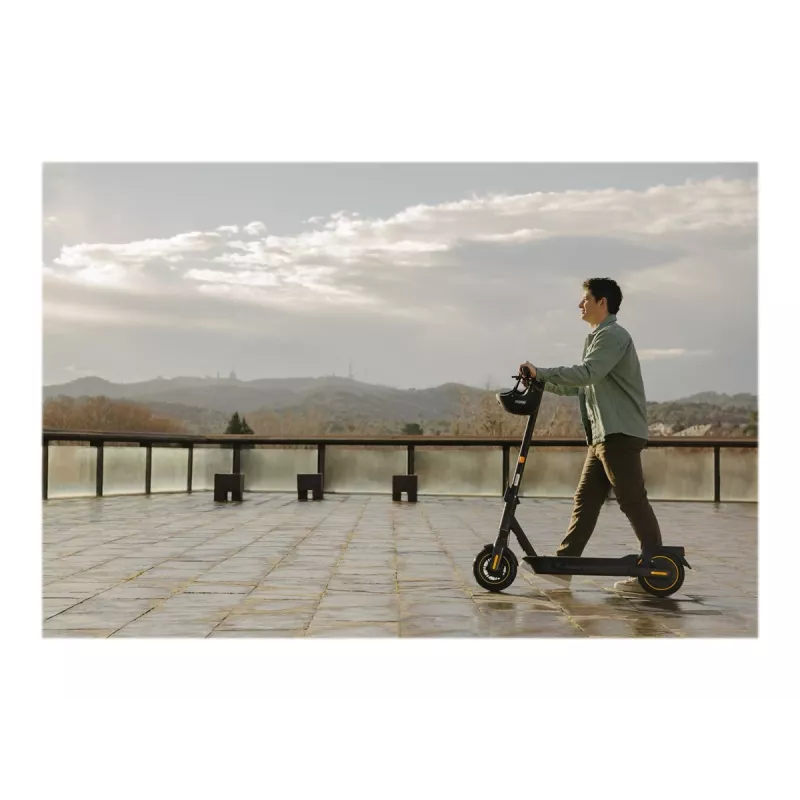 Ninebot by Segway KickScooter MAX G2 E Schwarz 25 km/h 15,3 Ah