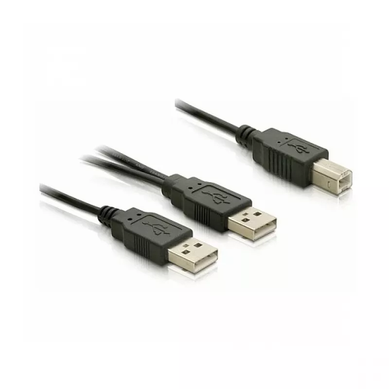 DELOCK Kabel USB 2.0 B -> USB-A Power + Power/Data