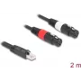 DeLOCK 88176 Audiokabel 2 m RJ-45 2 x XLR 3-polig Schwarz