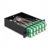 DeLOCK Fiber Optic HD Kassette MPO Stecker auf 12 x LC Duplex Buchse 24 Fasern Singlemode 9/125 µm