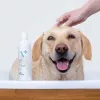 Hypoallergenes Shampoo VETEXPERT 250 ml für Hunde und Katzen — reinigend, alle Felltypen, jedes Alter