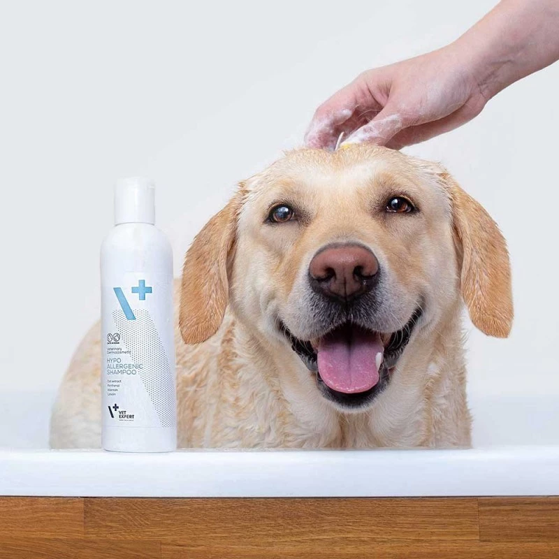 Hypoallergenes Shampoo VETEXPERT 250 ml für Hunde und Katzen — reinigend, alle Felltypen, jedes Alter