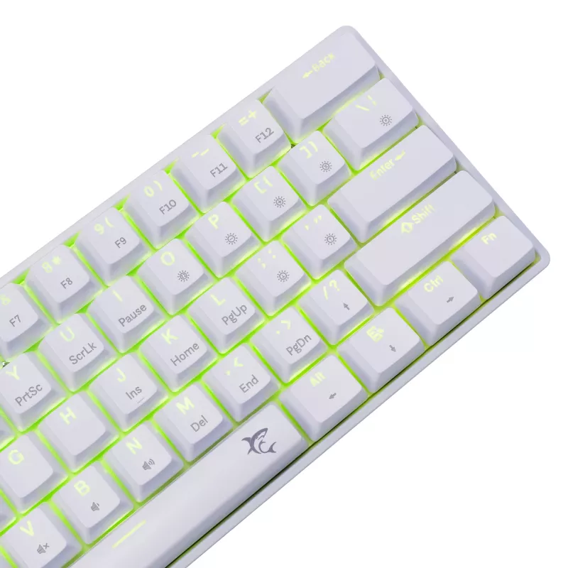 Kabelgebundene mechanische Tastatur White Shark Shinobi-2 (GK-004221) — blaue Schalter, Weiß, US-Layout
