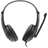 CANYON PC-Headset HSC-1 PC Mic Flat 2m Schwarz