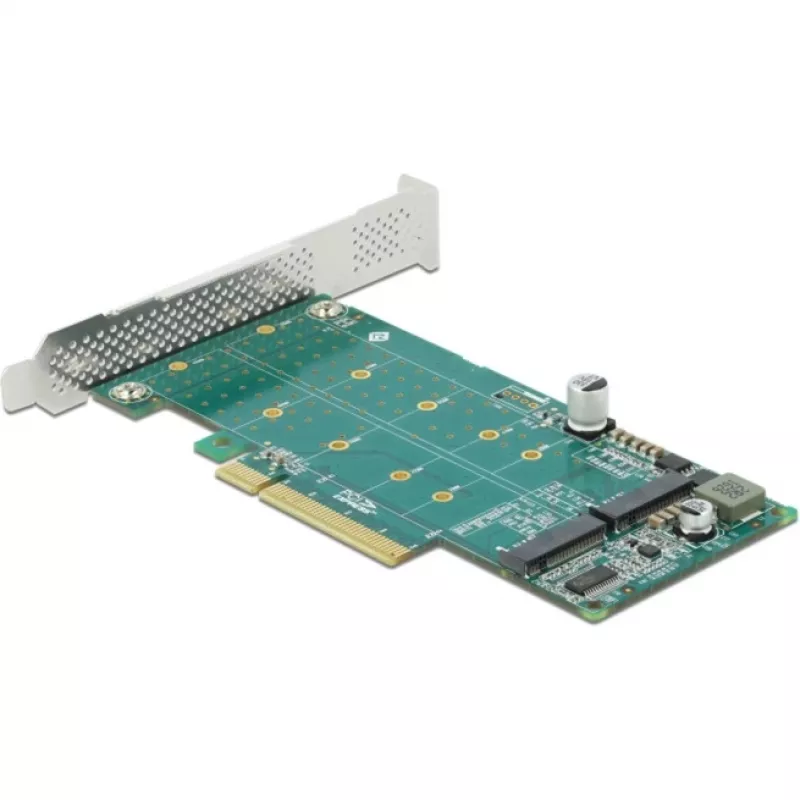 DeLOCK PCI Express x8 Karte auf 2 x interne NVMe M.2 Key M Bifurkation Low-Profile-Formfaktor
