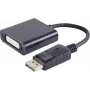 DisplayPort auf DVI Adapter ShiverPeaks 14-05007 — DisplayPort 1.1 auf DVI 24+5