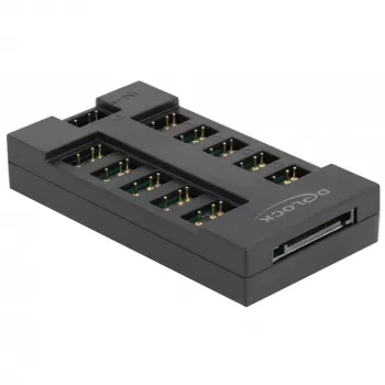 Delock - RGB LED Licht-Hub - 10 Anschlüsse - Schwarz (64128)
