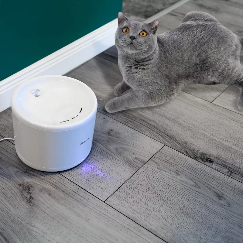 Tellur TLL331471 Haustier-Wasserspender 2L Weiß – automatischer 2-Liter-Trinknapf für Katzen und kleine Hunde